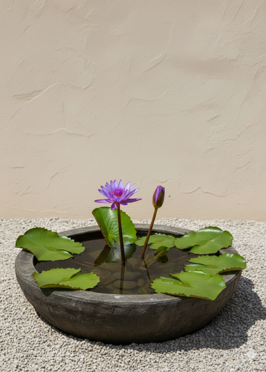 Decorative stone bowl with water lilies on a neutral background
