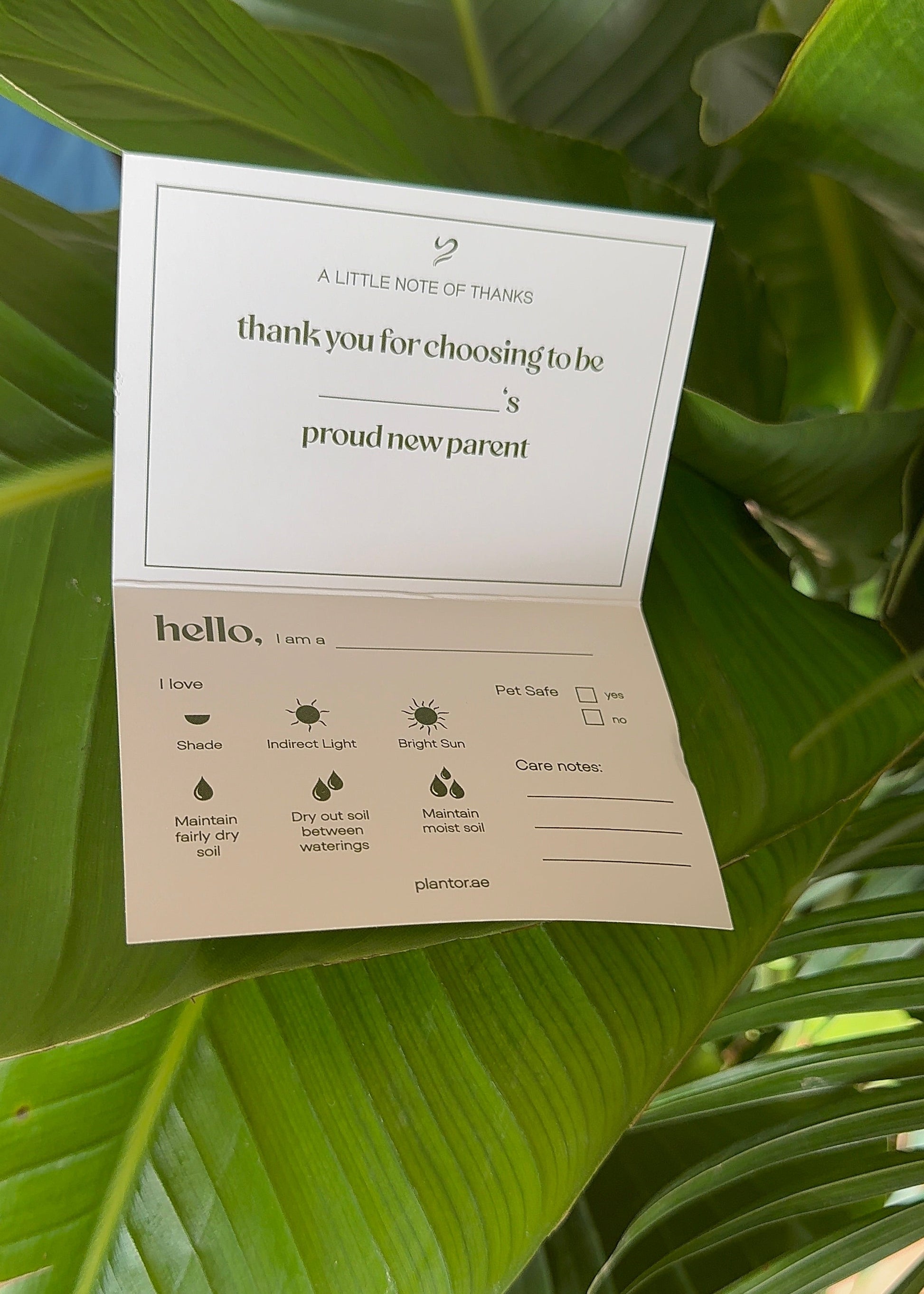 Note card with text and illustrations on a green leaf background