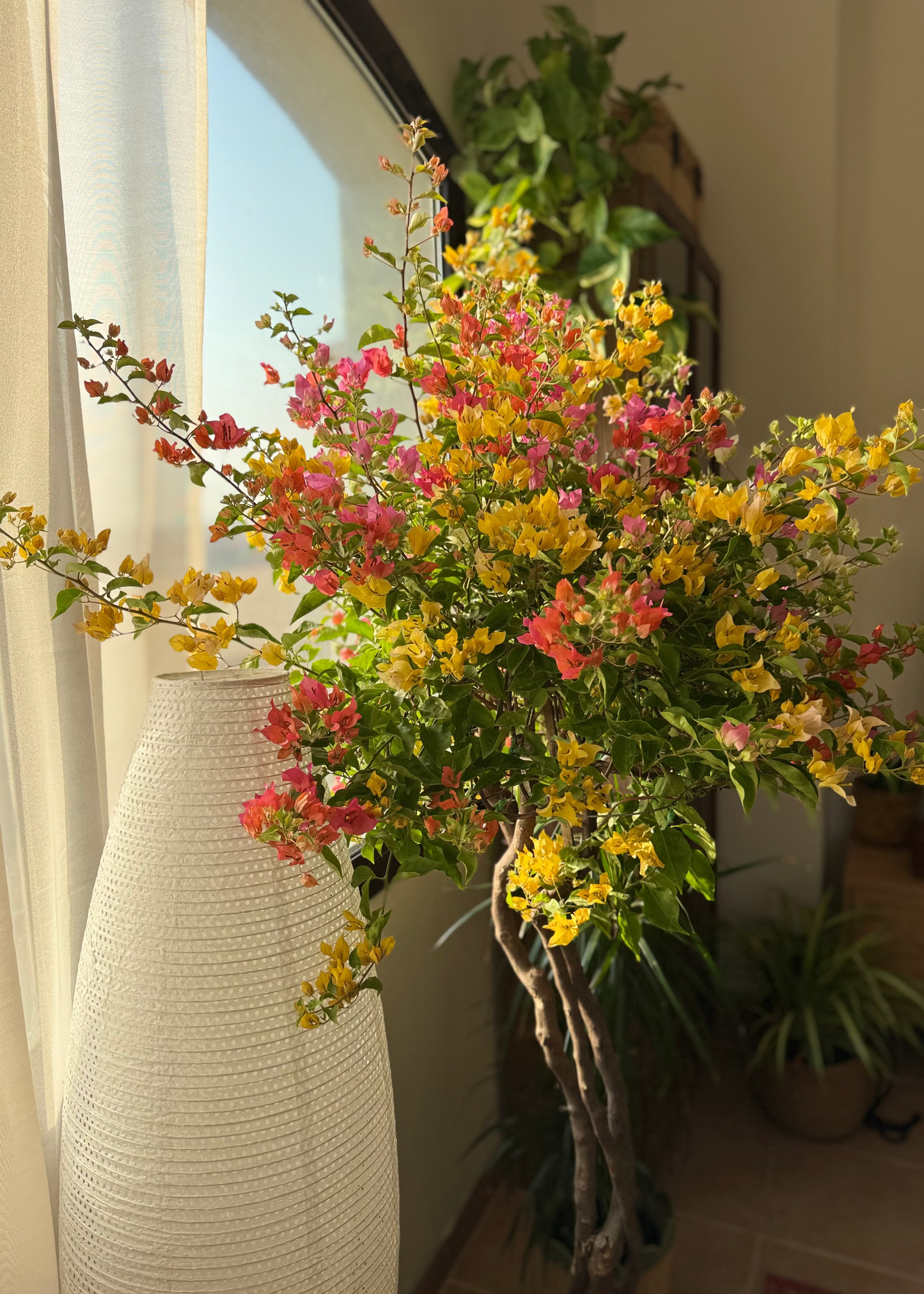 Decorative vase with colorful flowers in a room with plants and a window.