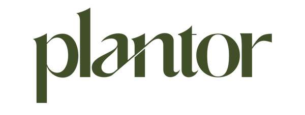 plantor.ae