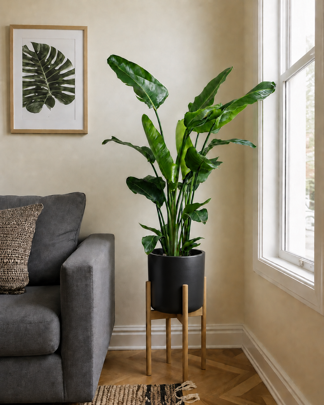 Bird of Paradise (Copy)