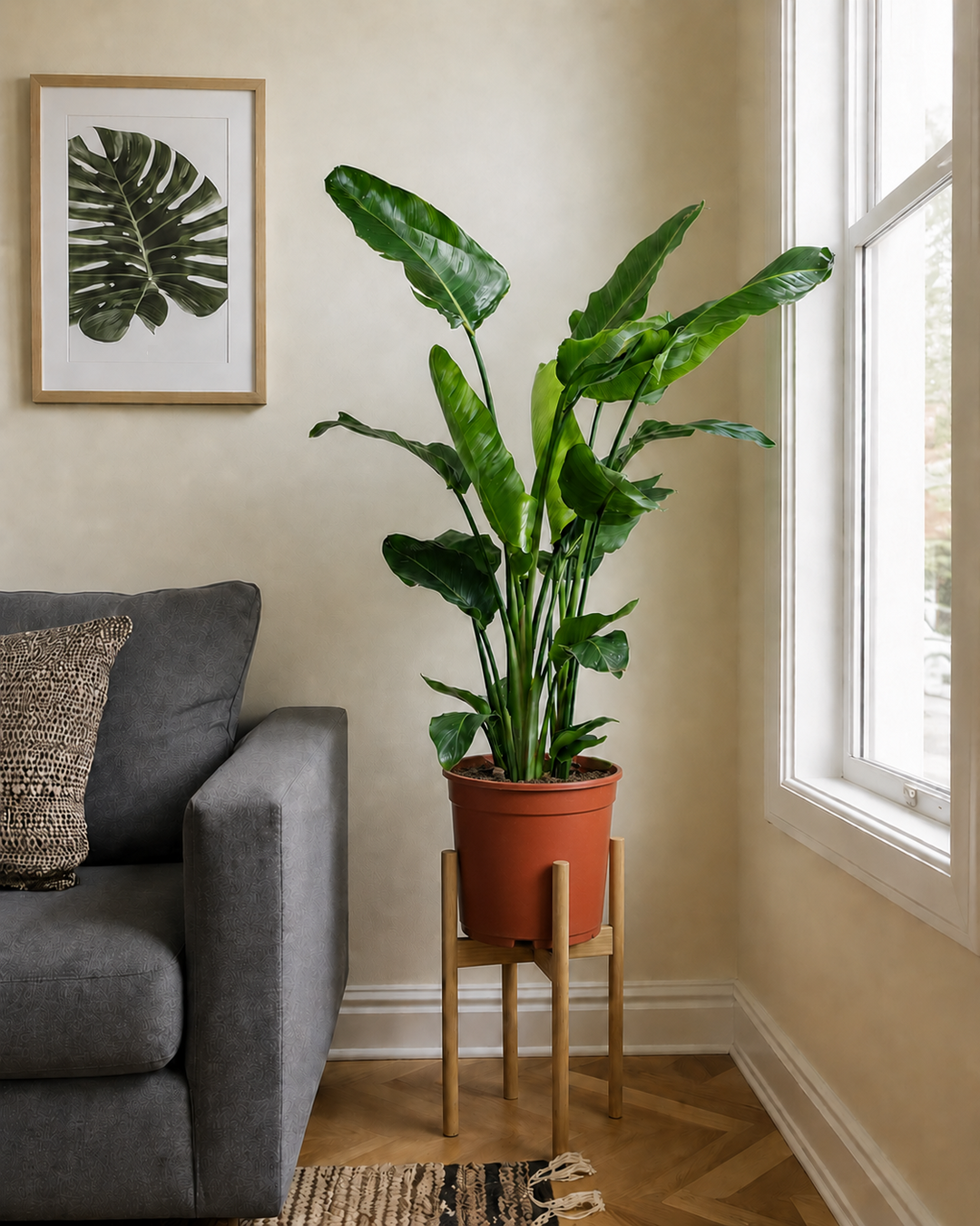 Bird of Paradise (Copy)